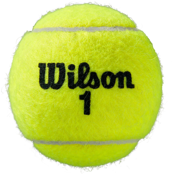 Tenisová loptička Wilson Roland Garros Tenisová loptička Wilson Roland Garros